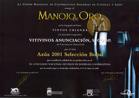 2004 - Premios Manojo